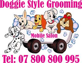 Doggie Style Grooming