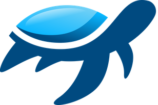 SEO Liverpool