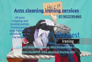 Ants cleaning ironing sevicers