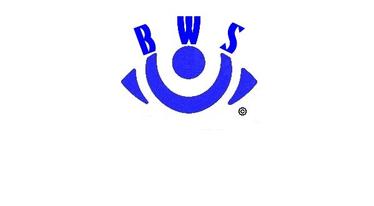 Blind Writers Society