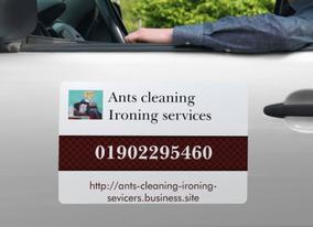 Ants cleaning Ironing services