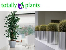 Totally Plants