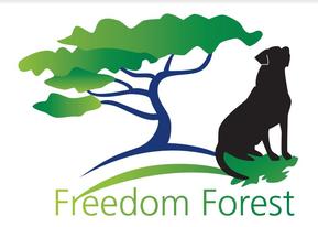 Freedom Forest Dog Walking