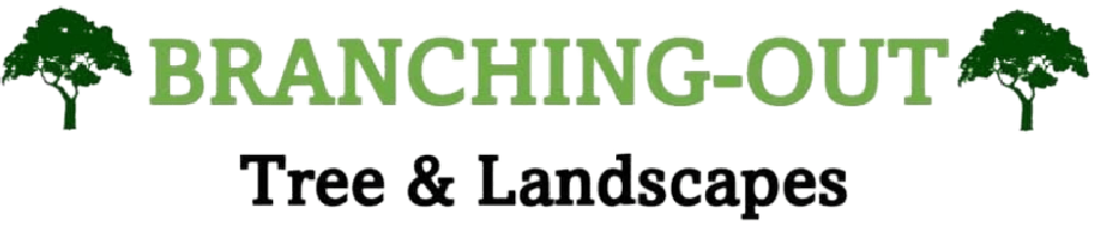 Branching Out Tree Care